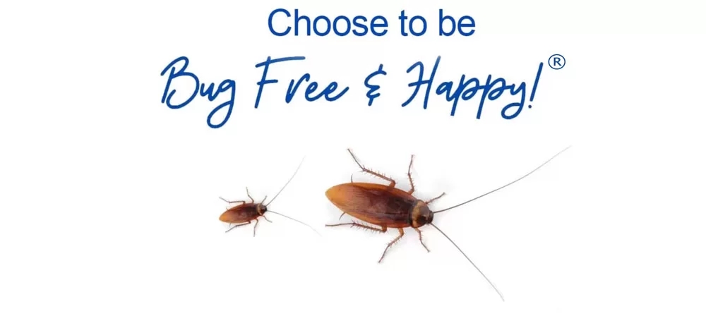 Bug Free Happy Clean